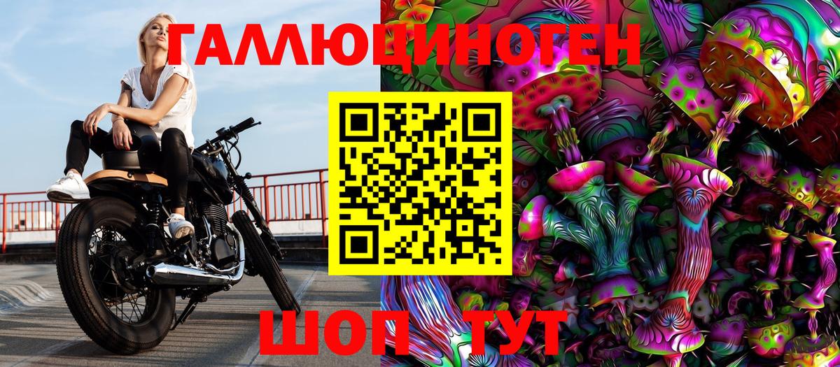 Псилоцибиновые грибы Psilocybe Тобольск