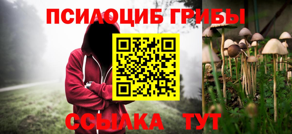 Тобольск  магазин    Вход с VPN  Псилоцибиновые грибы Psilocybe 